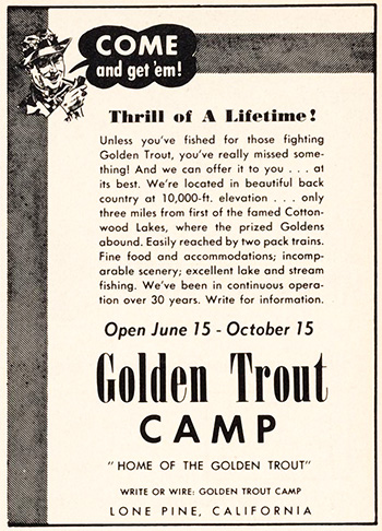 golden trout camp